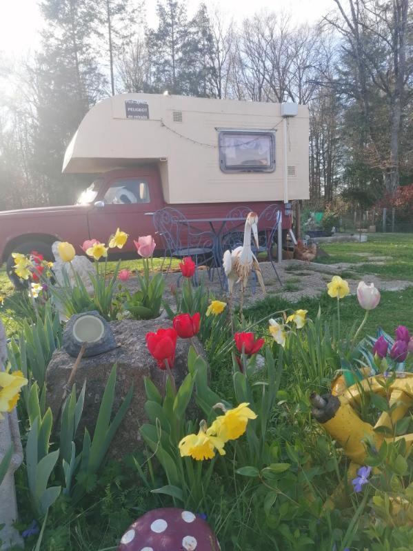 Hotel Le Pick Up 403 Vintage Oradour-sur-Glane Exterior foto